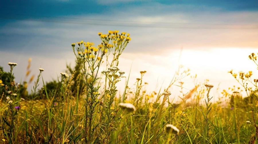 До кінця тижня в Україні буде тепло і сухо, а в неділю прийдуть дощі