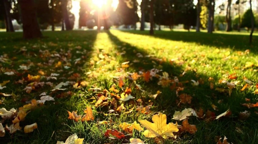 Погода в неділю порадує теплом