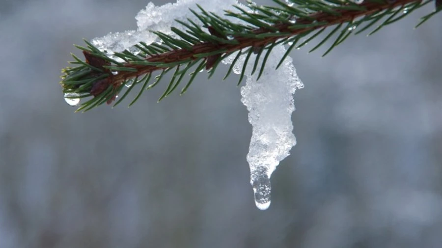 Украина будет одной из самых теплых в Европе – синоптик