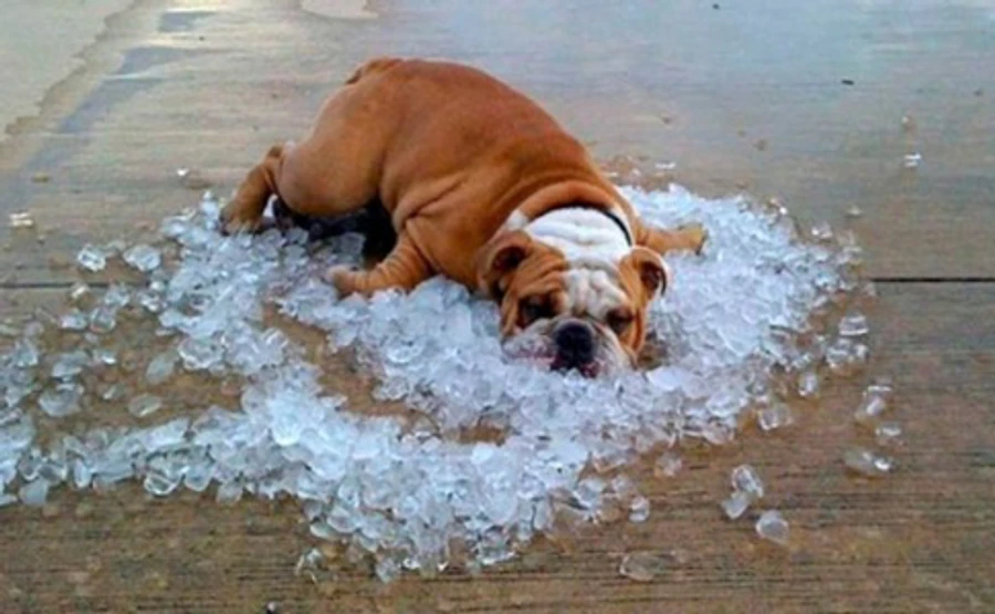 На Україну насувається справжня спека