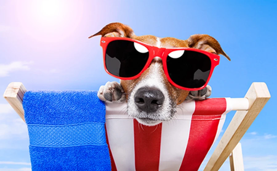 Синоптики кажуть, що в Україні настали спекотні дні