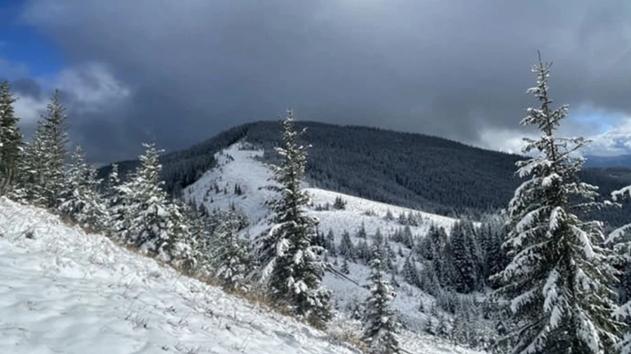 Рятувальники попередили про -20°C в Карпатах, ризик обморожень та лавинної небезпеки зростає