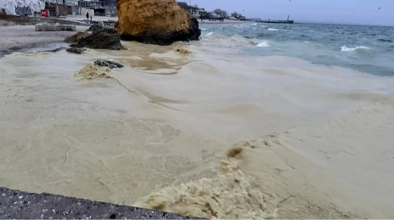 Акваторію найбільшого українського порту перекрили через витік олії