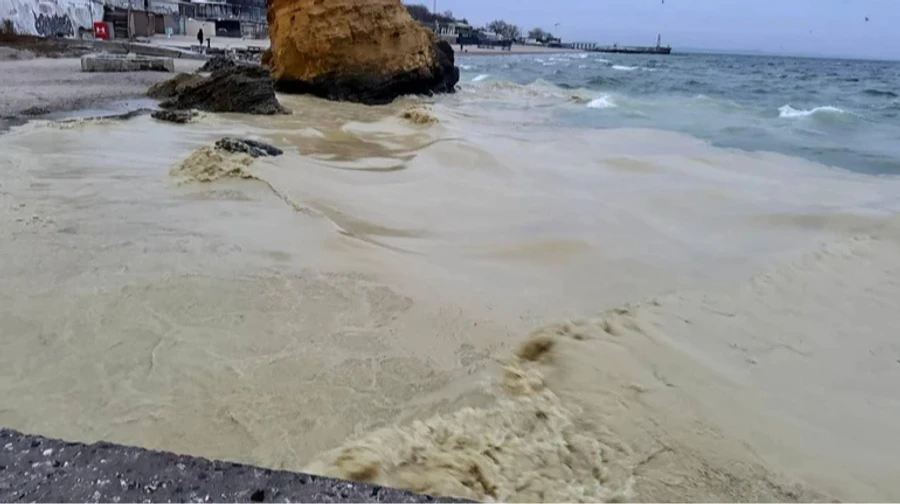 Waters of Ukraine's largest port closed after vegetable oil spill