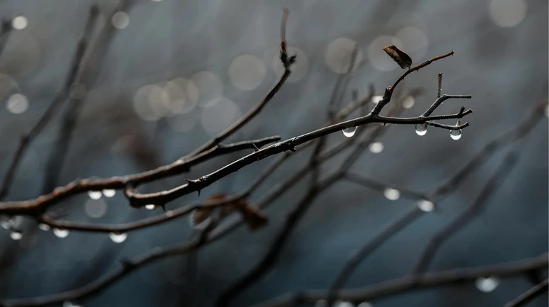 Найближчими днями в Україні похолоднішає