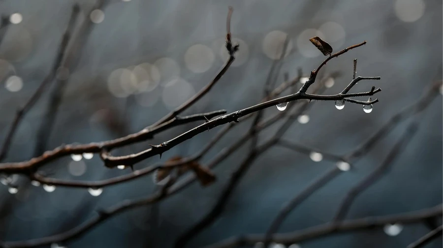 Найближчими днями в Україні похолоднішає