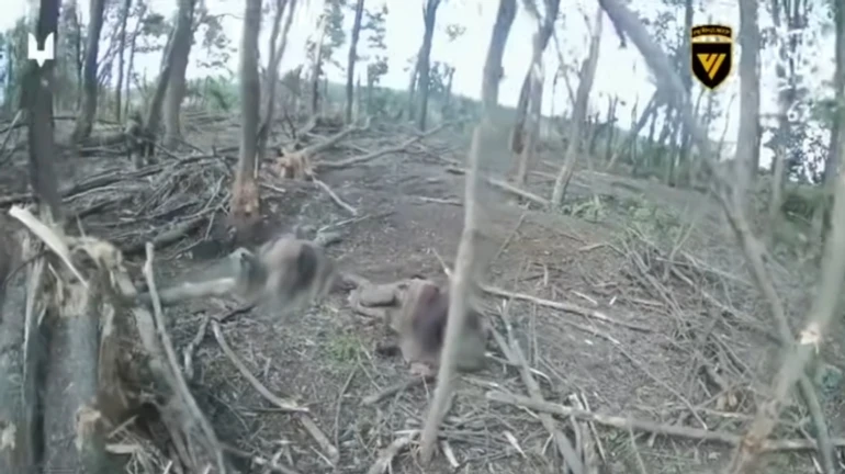 ССО в Курской области уничтожили группу россиян, которые направлялись на Сумщину