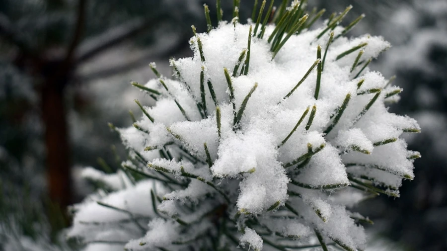 В Украину идет снег с дождем 