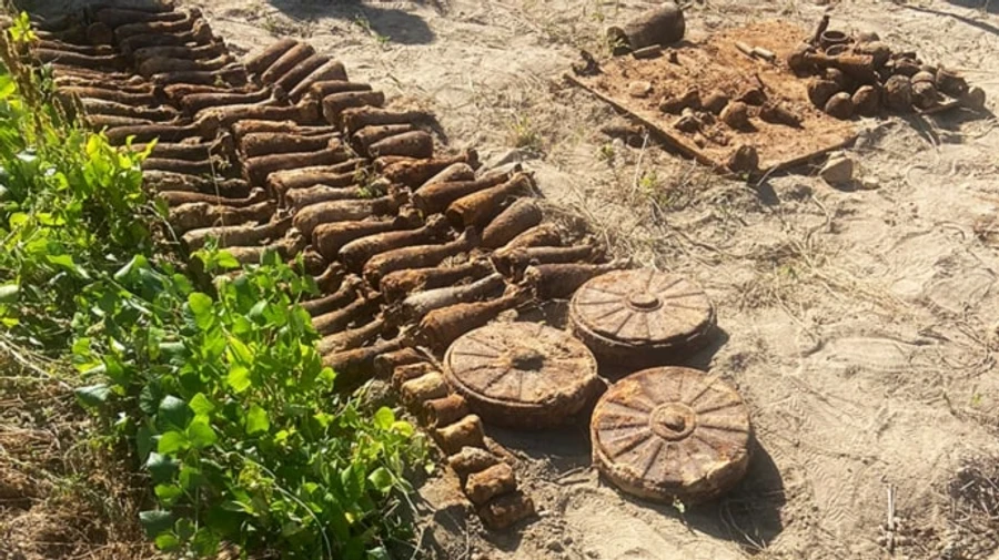 Житомирянка нашла на огороде 85 мин, когда копала картошку