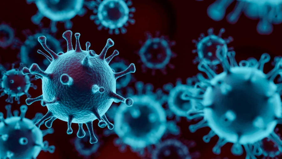 Останній шанс визначити походження коронавірусу: ВООЗ запускає нову групу