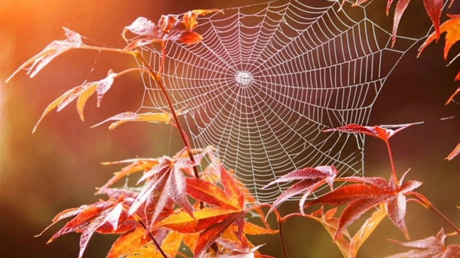 Синоптики рассказали, какой погоды ждать в сентябре