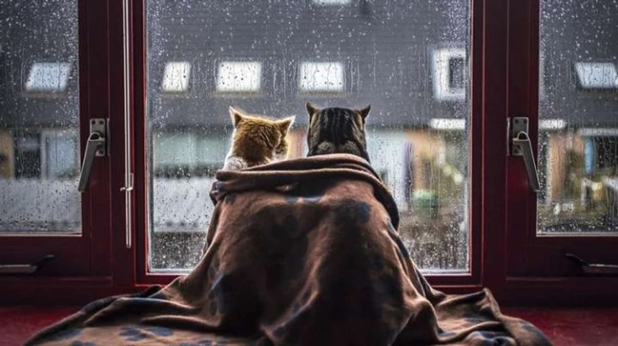 В Україну йде похолодання, дощі і навіть сніг