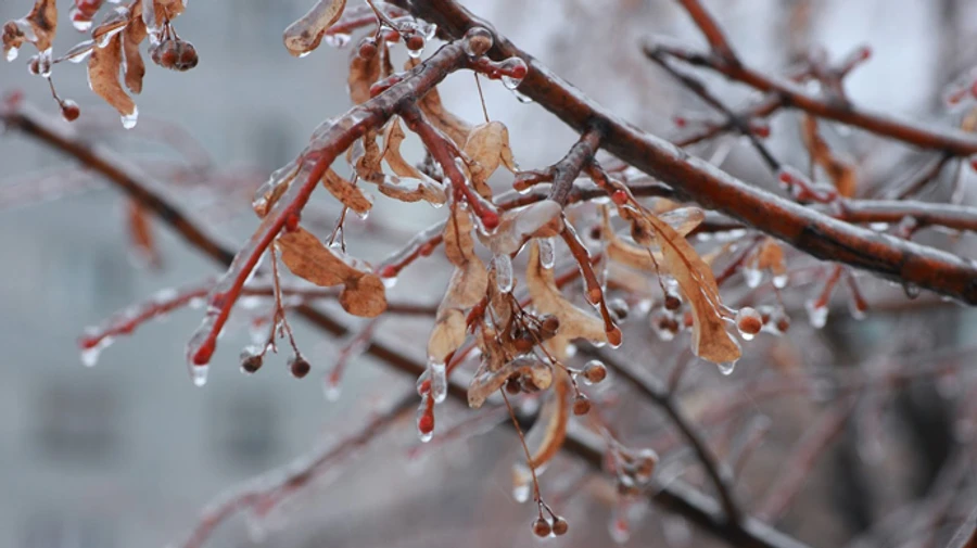 Україну підморозить арктичне повітря
