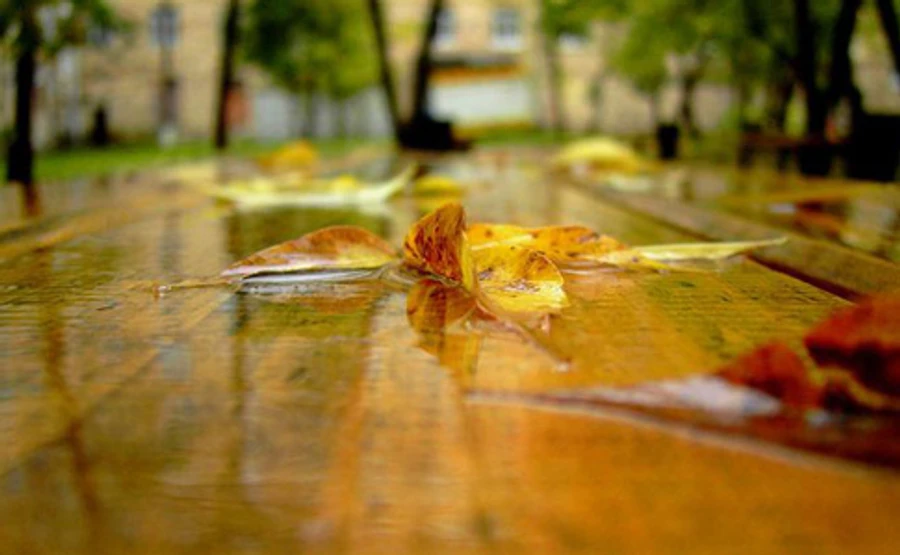 В Украине ощутимо похолодает и задождит