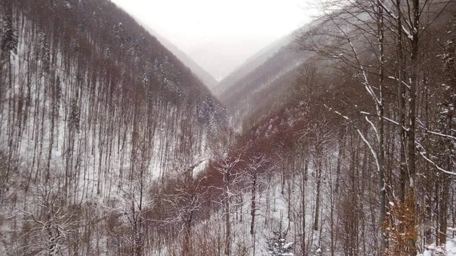 В Карпатах ищут четырех киевских туристов