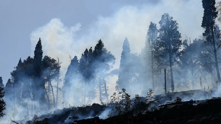 Масштабна лісова пожежа спалахнула в Чорногорії
