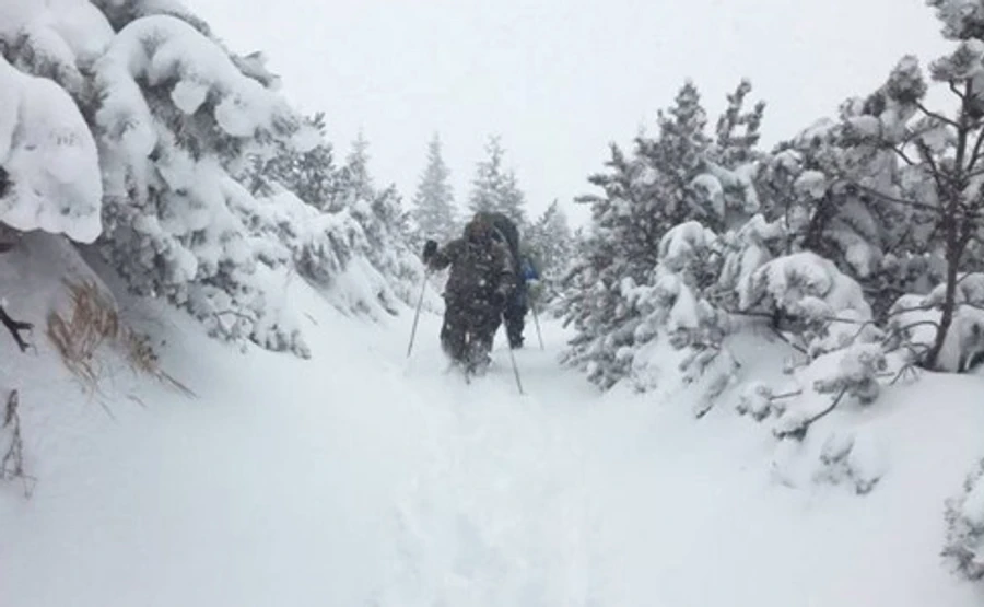 В начале недели в горах лавины, на Закарпатье подъем воды в реках - синоптики
