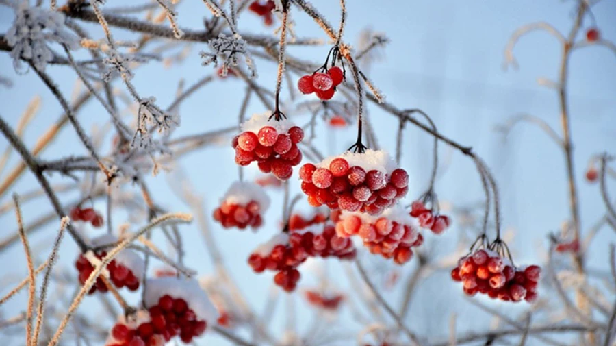 В Україну прийде незначне похолодання