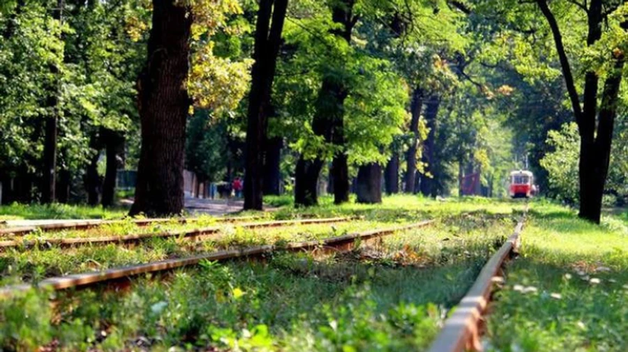 Києву повернули майже 30 гектарів у Пущі-Водиці