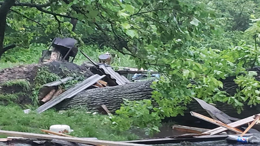 Во время урагана на Львовщине погибла женщина