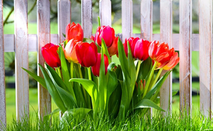 Синоптик повідомила, коли потепліє