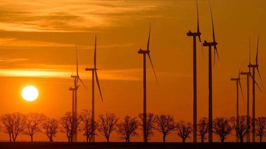 Ukrainian private energy company to build one of Europe's largest wind power plants worth €1.2bn