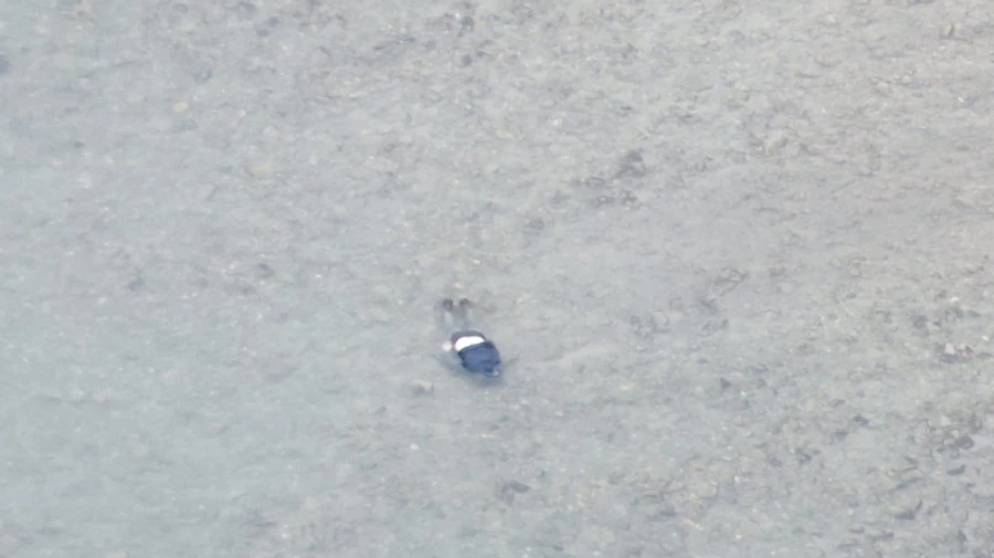 У Тисі виявили тіло 33-річного чоловіка