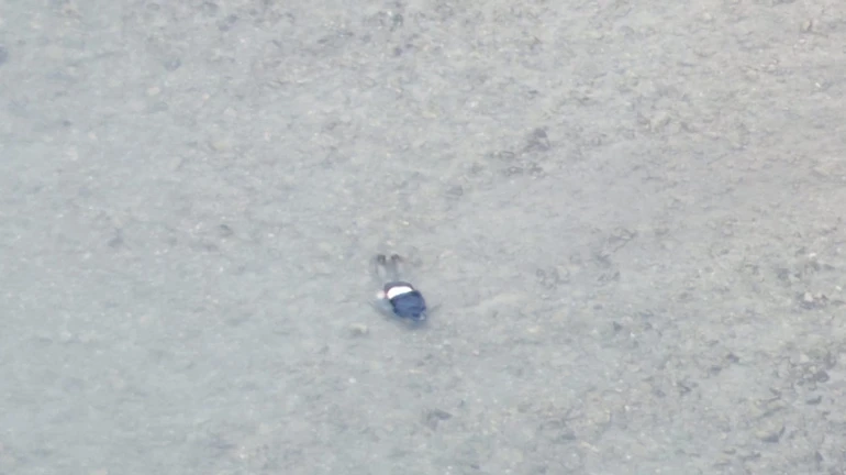 В Тисе обнаружили тело 33-летнего мужчины