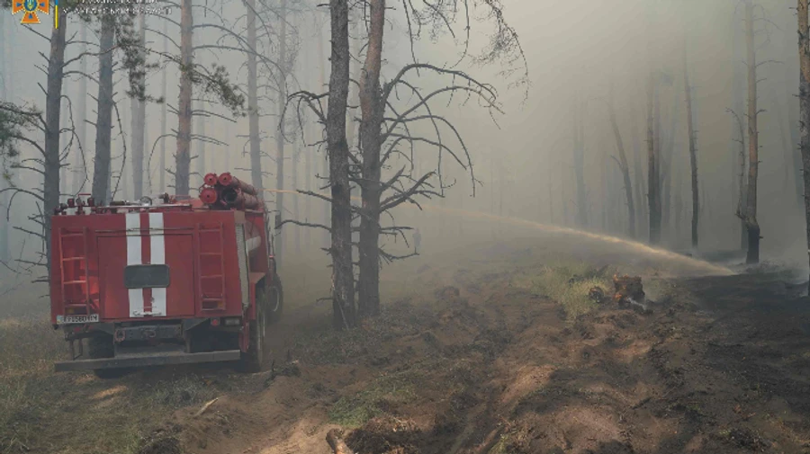 Рятувальники борються з лісовими пожежами на Луганщині