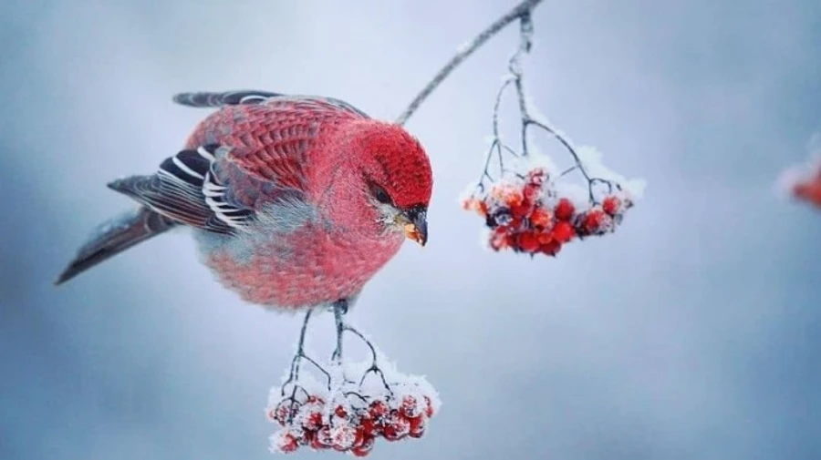 В Украину идет настоящая зима