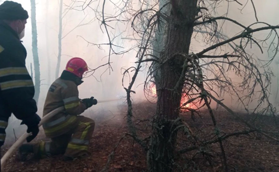 Киян попередили про високу пожежну небезпеку