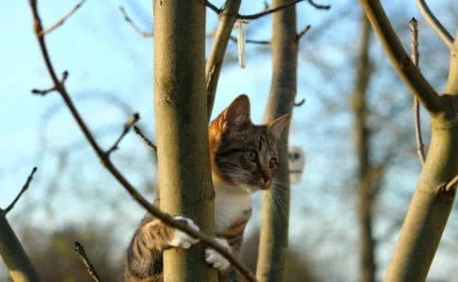 В Норвегии зафиксировали температурный рекорд