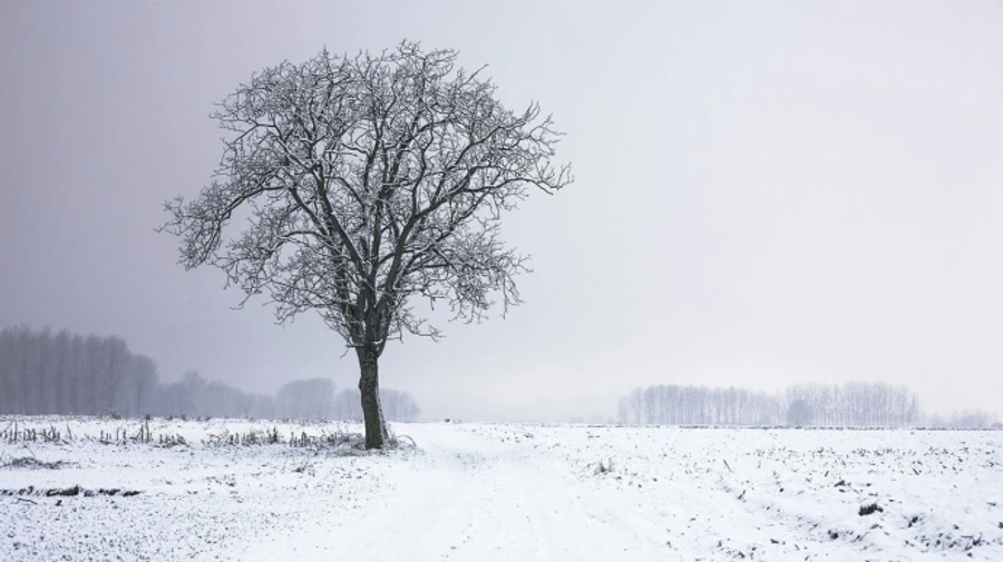 У россиян конфисковали 4 земучастка на Киевщине