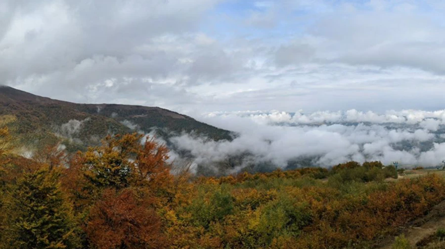 Синоптики прогнозують дощові вихідні
