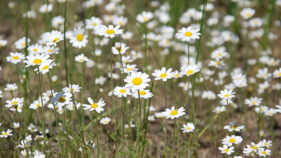 Хмари, дощі, сонце і несміливе потепління - чого чекати на вихідних