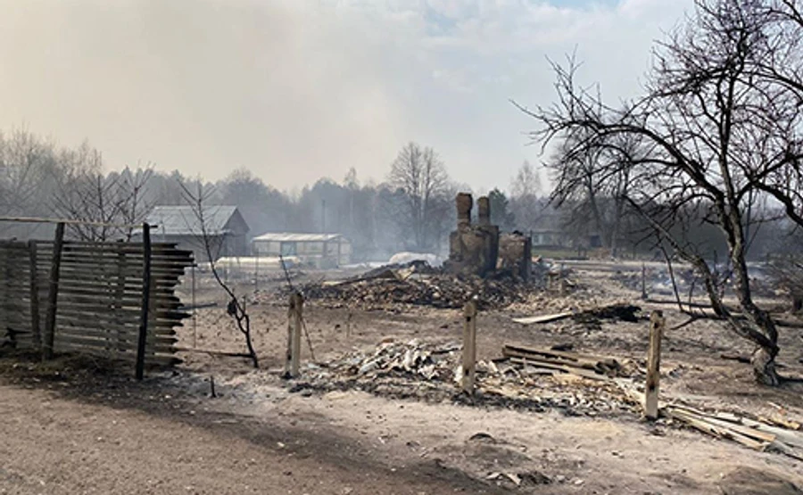 На Житомирщині лишилося 4 осередки пожежі – голова ОДА