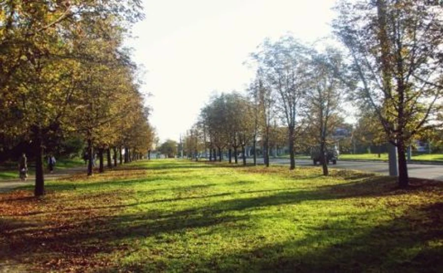 В Україні ще потримається спека, хоча осінь підбирається