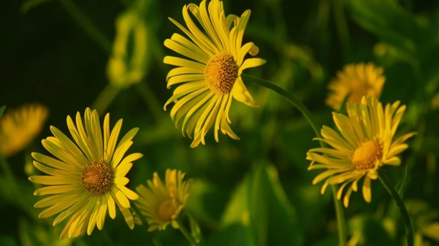 Мир пережил третий самый теплый июль в истории наблюдений ЕС