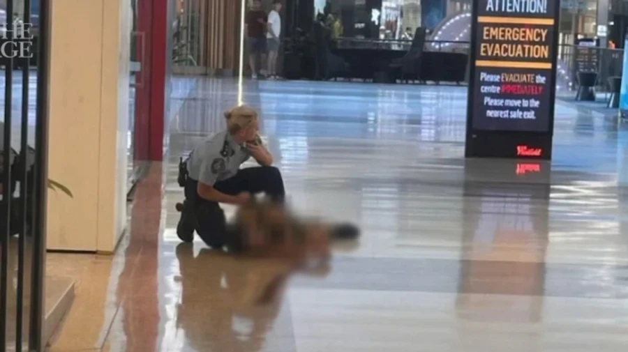 Мужчина зарезал шестерых людей в ТЦ Сиднея