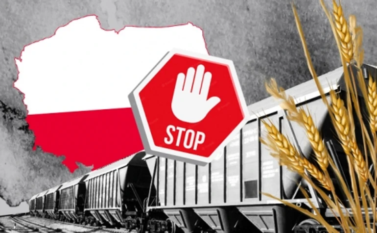 Ніж у спину? Як проблеми з українським агроекспортом вплинуть на ціни, курс та економіку