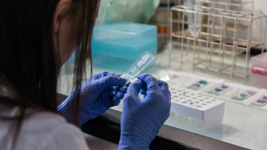 Полиция просит родственников пропавших без вести сдать образцы ДНК