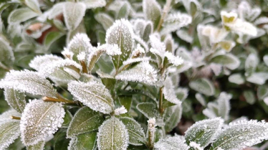 Опади в Україні вщухнуть до п'ятниці – прогноз