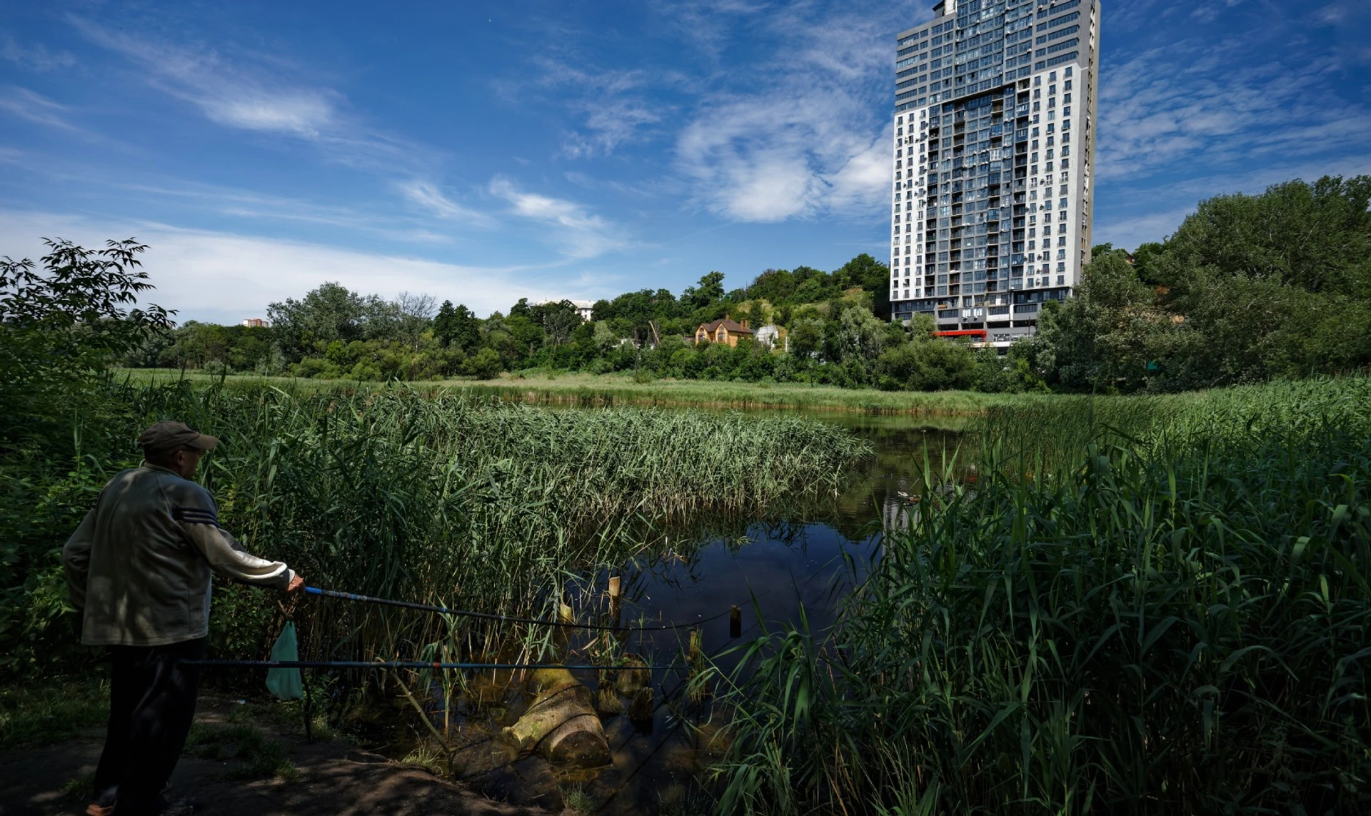 Дивіться, яка дичина!. Що приховують зарості Совських ставків, і чи можна врятувати зелений Київ