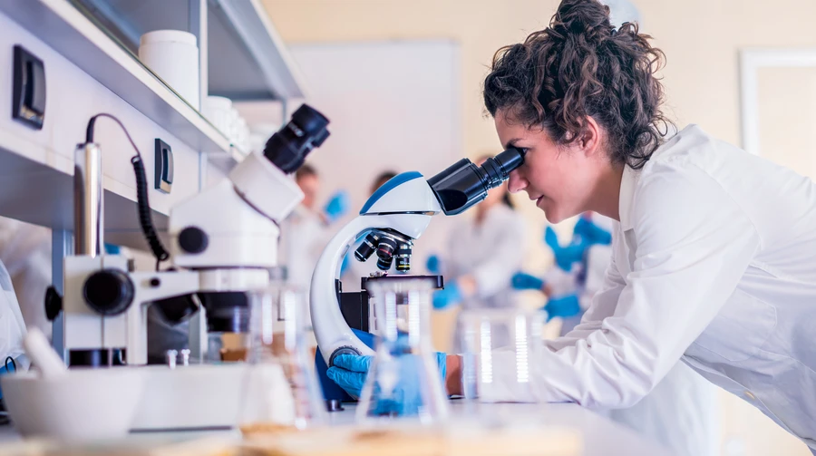 Norway to supply Ukraine's Sumy Oblast with a bridge and €2 million in medical aid