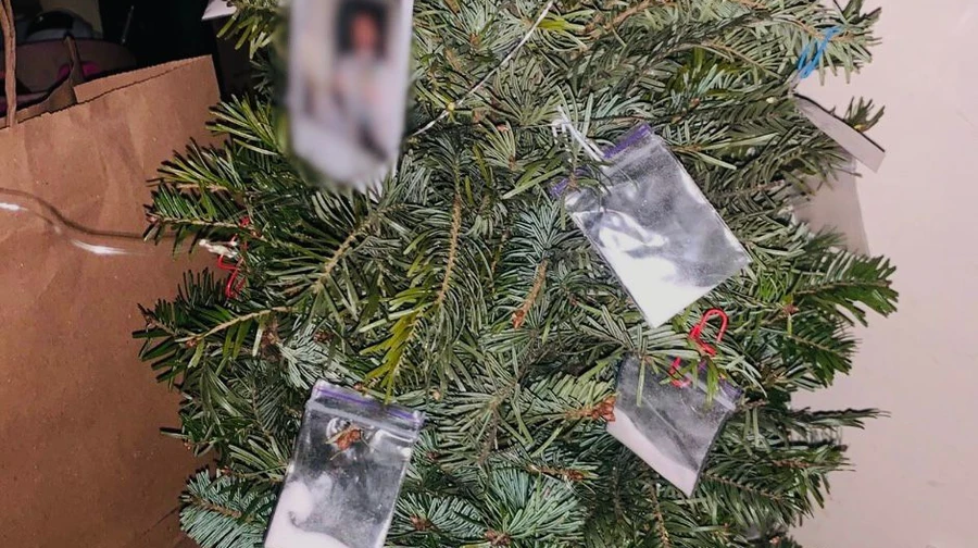 Ялинка з наркотиками замість іграшок: у Києві затримали іноземця, якого підозрюють у збуті