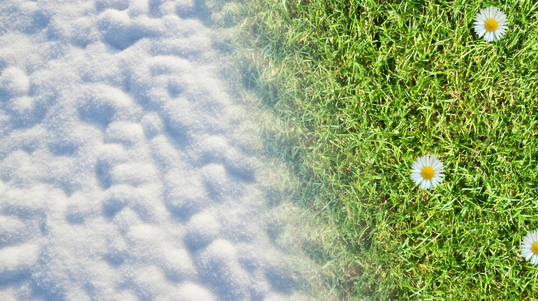 Зима з весною стрічається. Коли відзначати Стрітення 2026