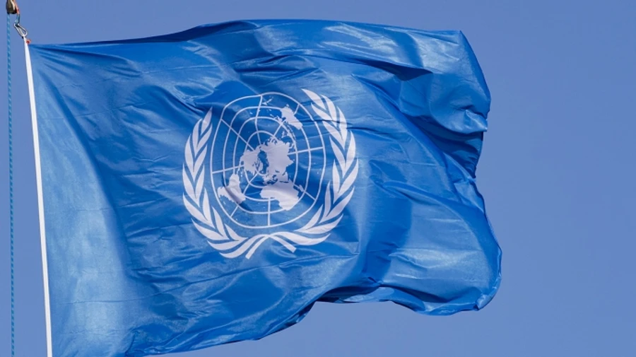 ООН избрала новых непостоянных членов, среди них Дания и Греция