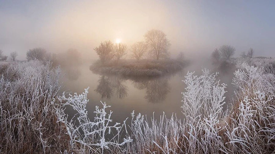 В Україні очікується туман, місцями мокрий сніг