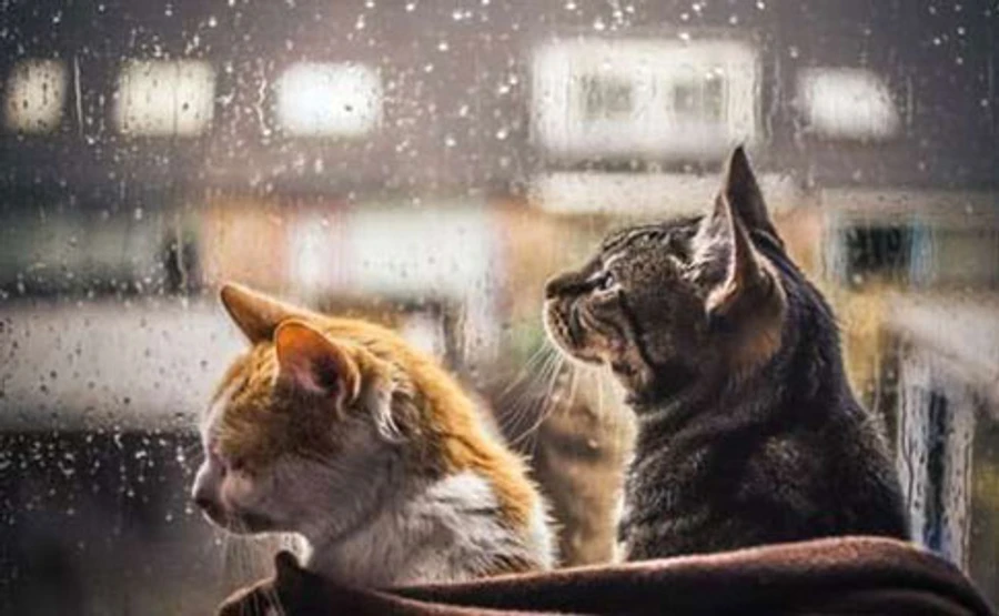 В Україну йде похолодання і мокрий сніг