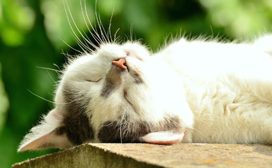 До України повертається тепло